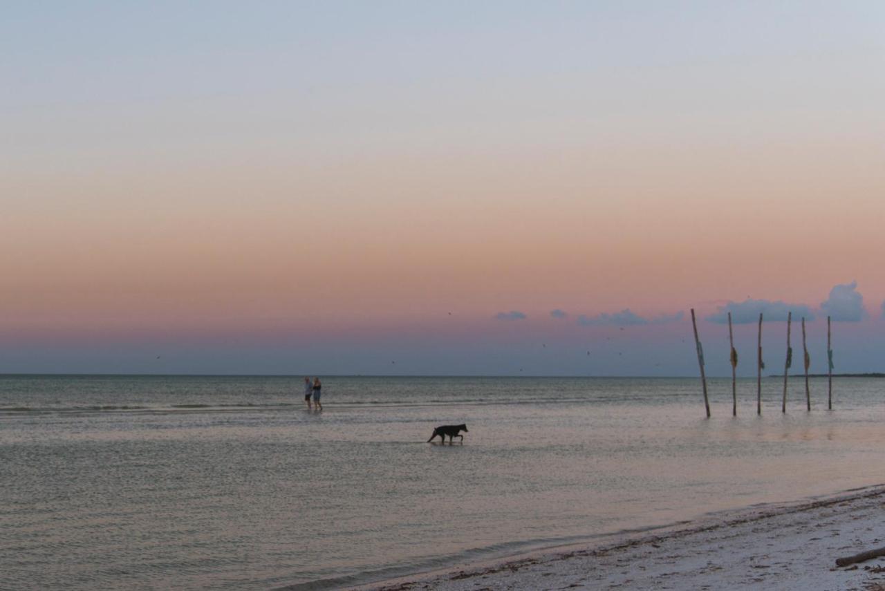 Blue Holbox Hotel Kültér fotó